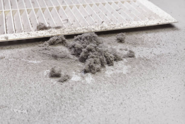 Best Air Duct Cleaning Company Near Me  in Kingsley, IA